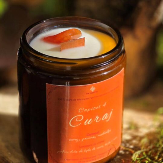 Capitolul 4 Curaj | Carneol